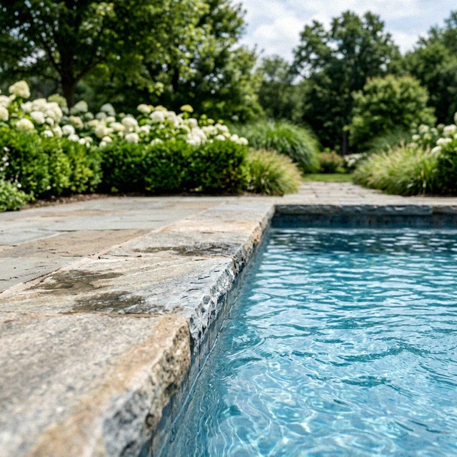 Renovated gunite pool edge with clean stone coping and planting
